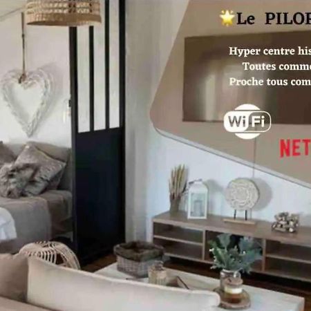 Le Pilori - Centre Historique, En Face Du Musee Du Pilori, A 2Mn A Pied De L'Hyper Centre Et Proche Toutes Commodites, Wifi-Netflix Niort Buitenkant foto